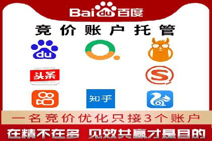 SEM竞价托管实战技巧：案例分析